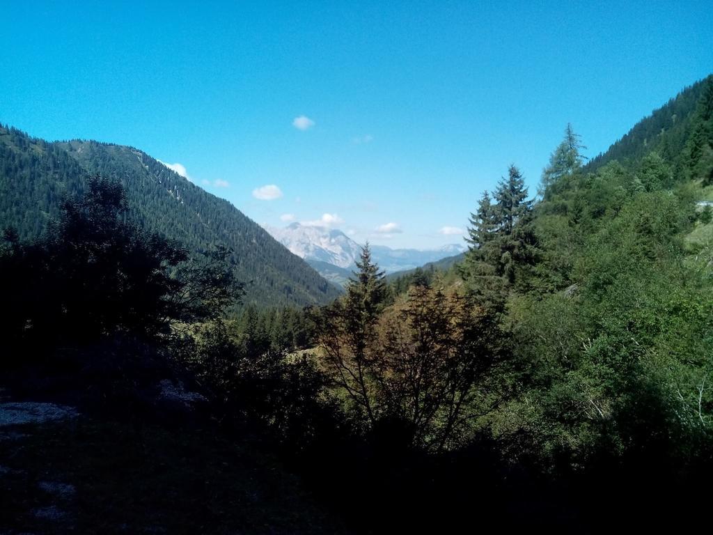 Gasthof Murauerhof Hotell Sankt Peter am Kammersberg Exteriör bild